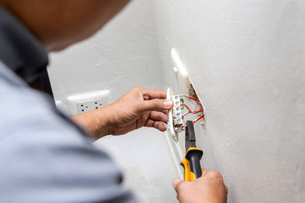 Best Electrical Troubleshooting Services  in Demopolis, AL